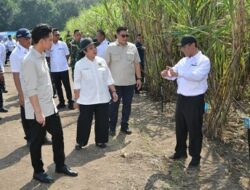 Wapres Gibran dan Mentan Amran Berikan Solusi untuk Petani Tebu, Target Swasembada Gula di 2026