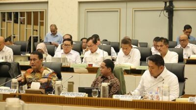 Kementan Siapkan Rp1,49 Triliun untuk Pemulihan Areal Pertanian Sumatera Pascabencana